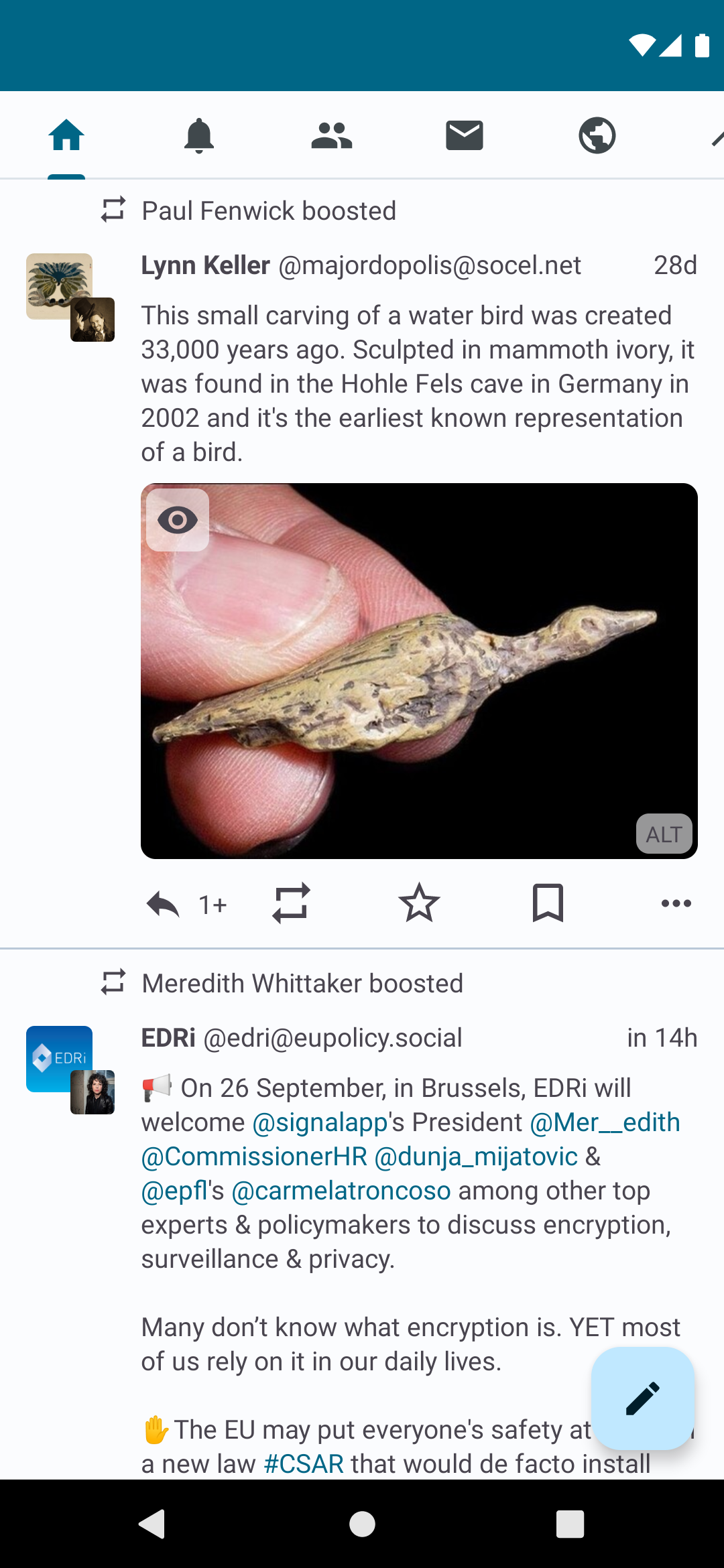 Screenshot of Pachli for Mastodon