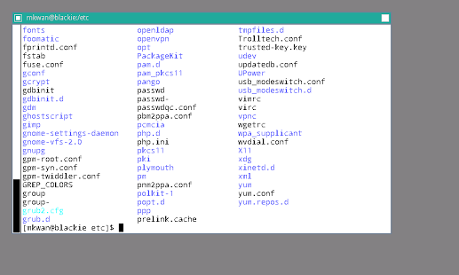 Screenshot of X Server