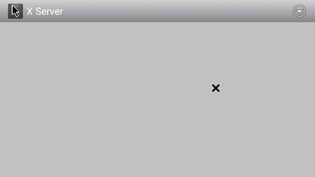 Screenshot of X Server