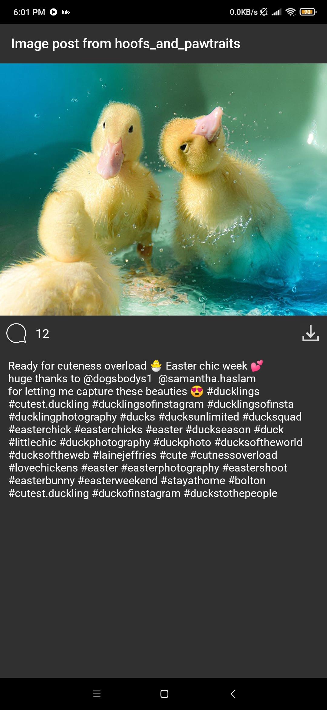 Screenshot of InstaGrabber