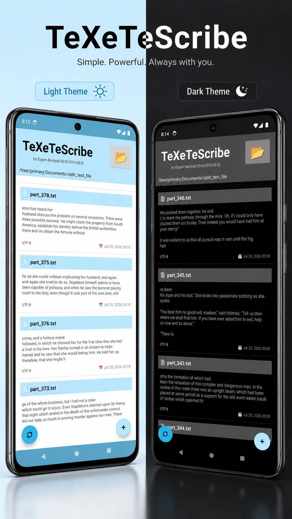 Screenshot of ﻿TeXeTeScribe