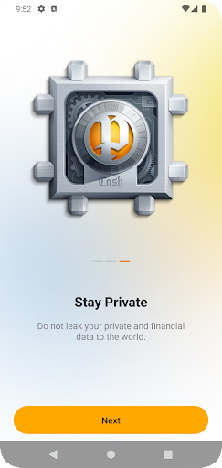 Screenshot of P.CASH Crypto Wallet