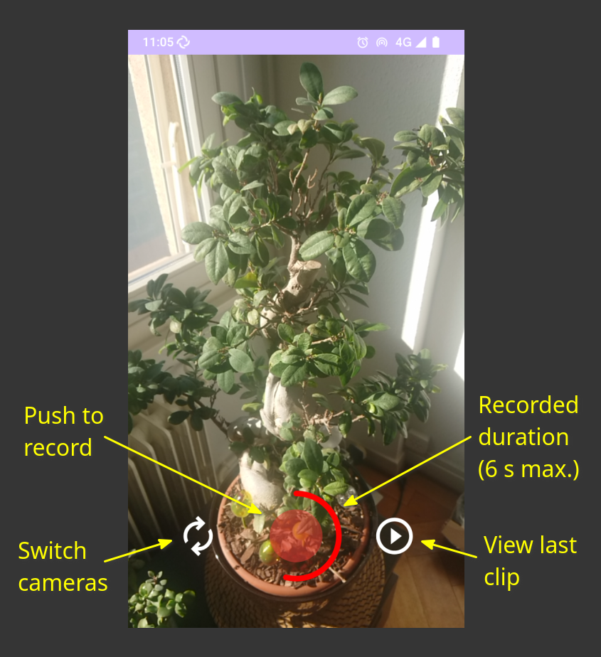 Screenshot of OpenVine