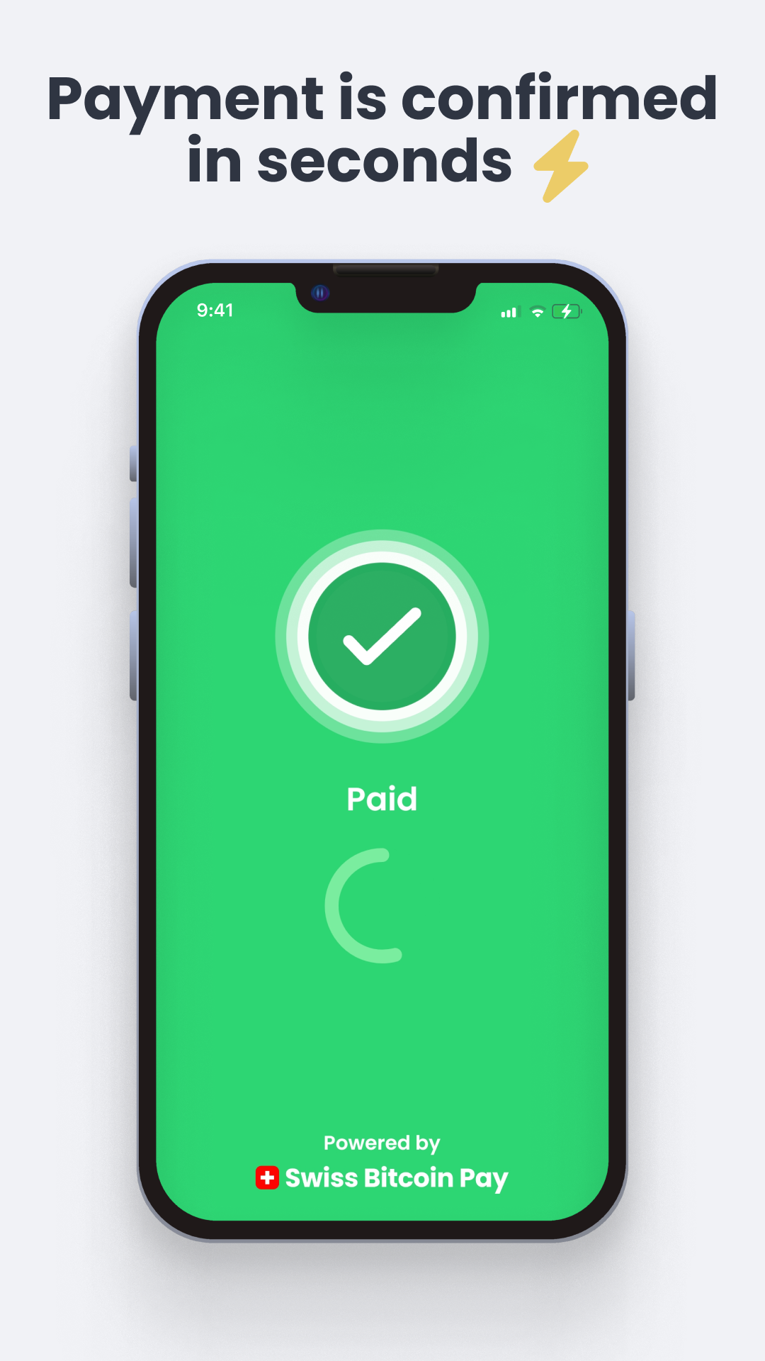 Screenshot of Swiss Bitcoin Pay