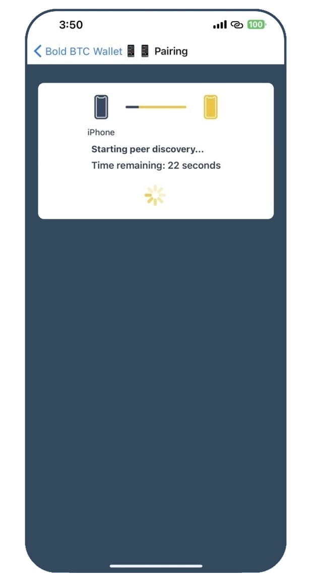 Screenshot of Bold Bitcoin Wallet