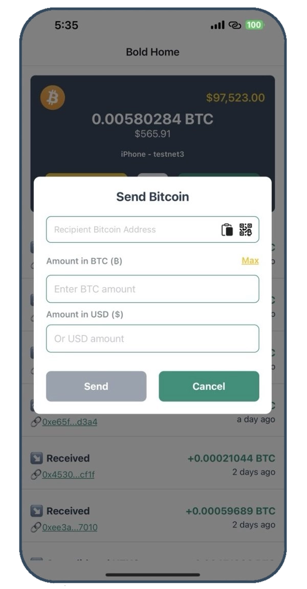 Screenshot of Bold Bitcoin Wallet