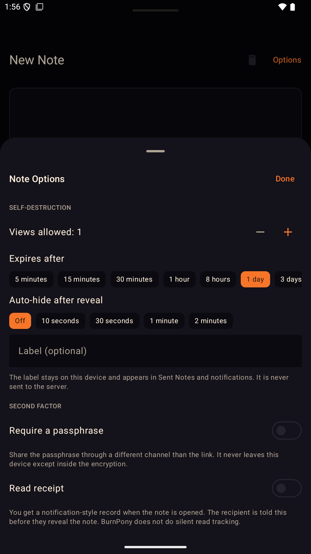 Screenshot of BurnPony