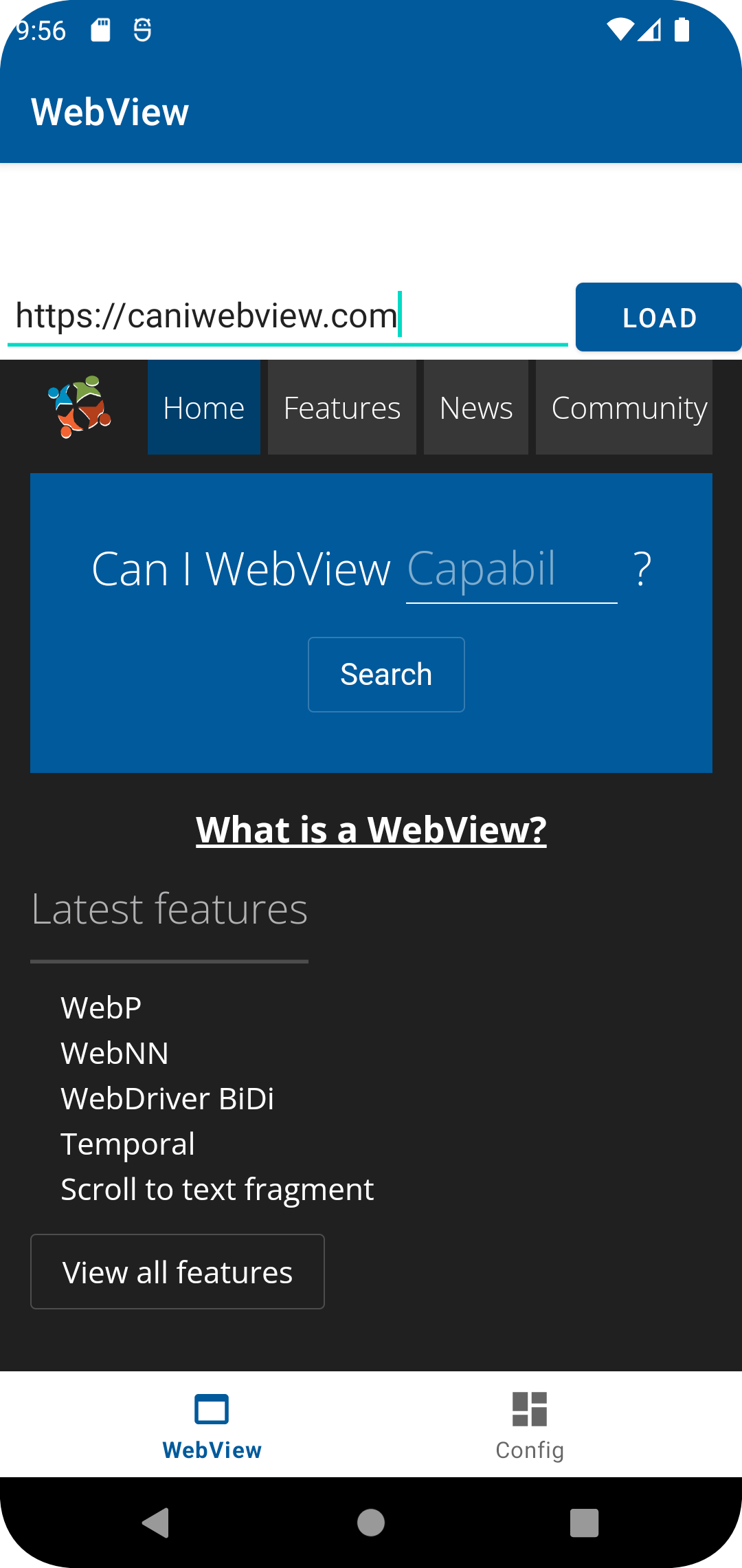 Screenshot of CanIWebView