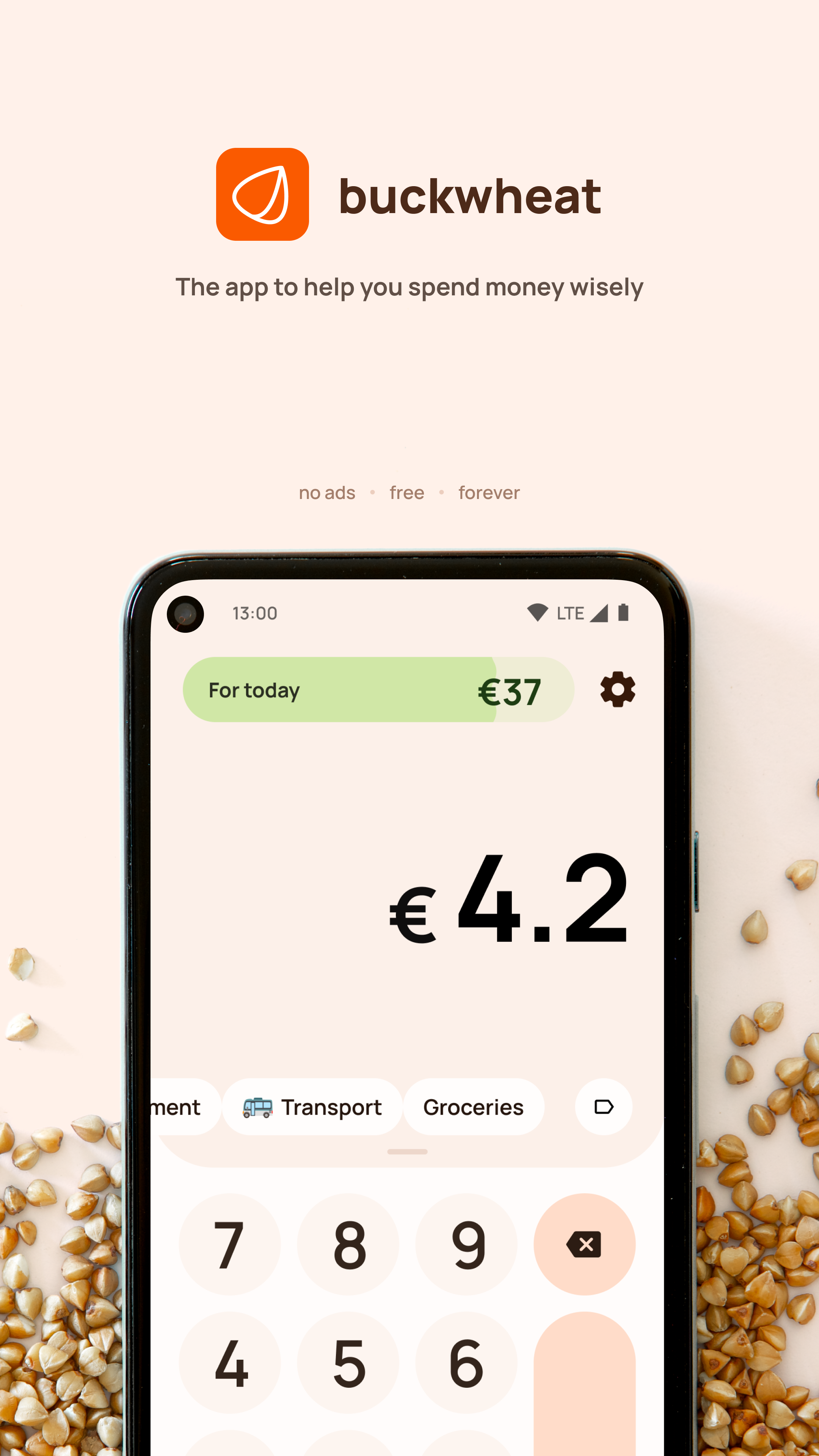 Screenshot of Buckwheat: Budget manager