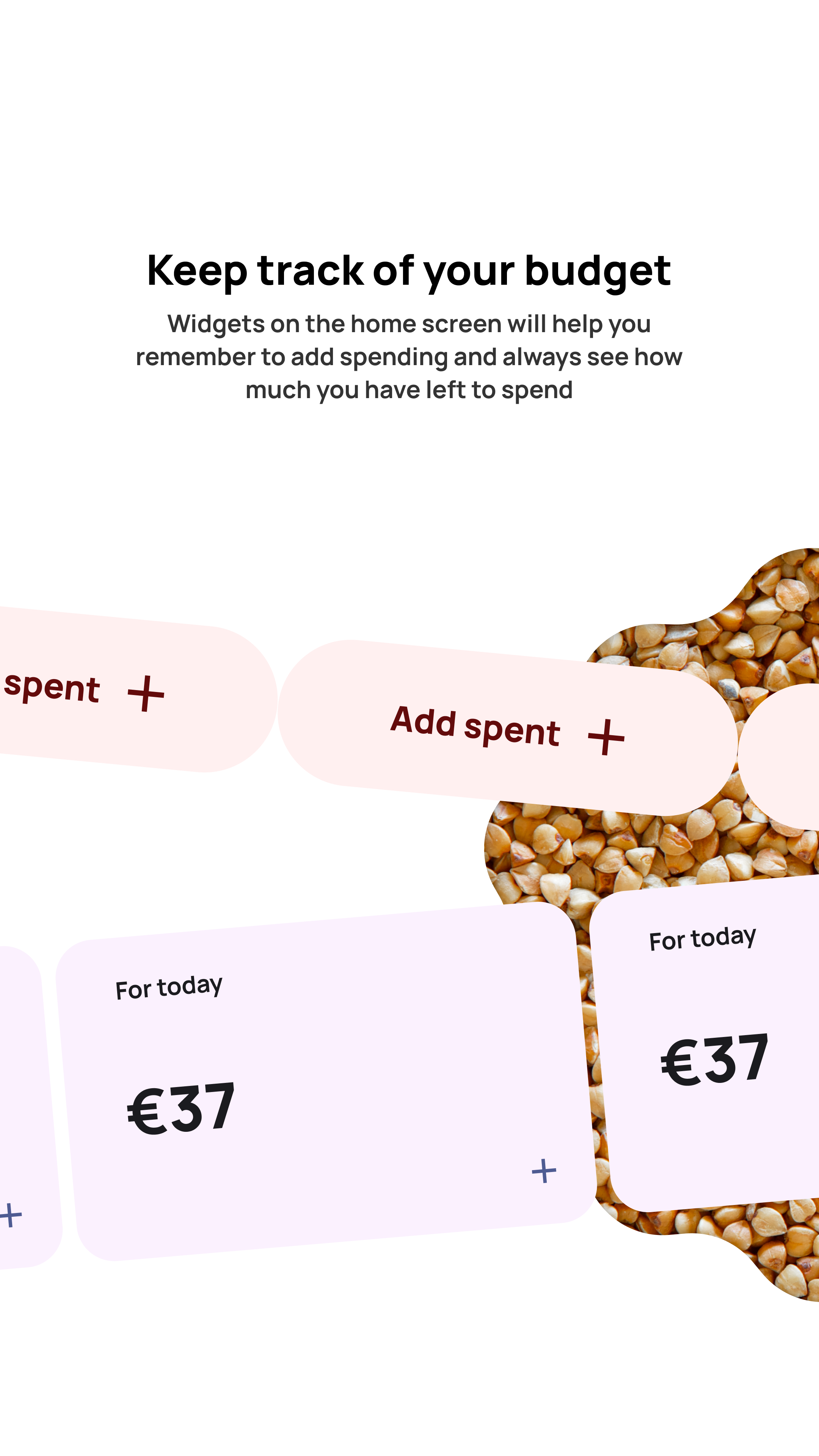 Screenshot of Buckwheat: Budget manager