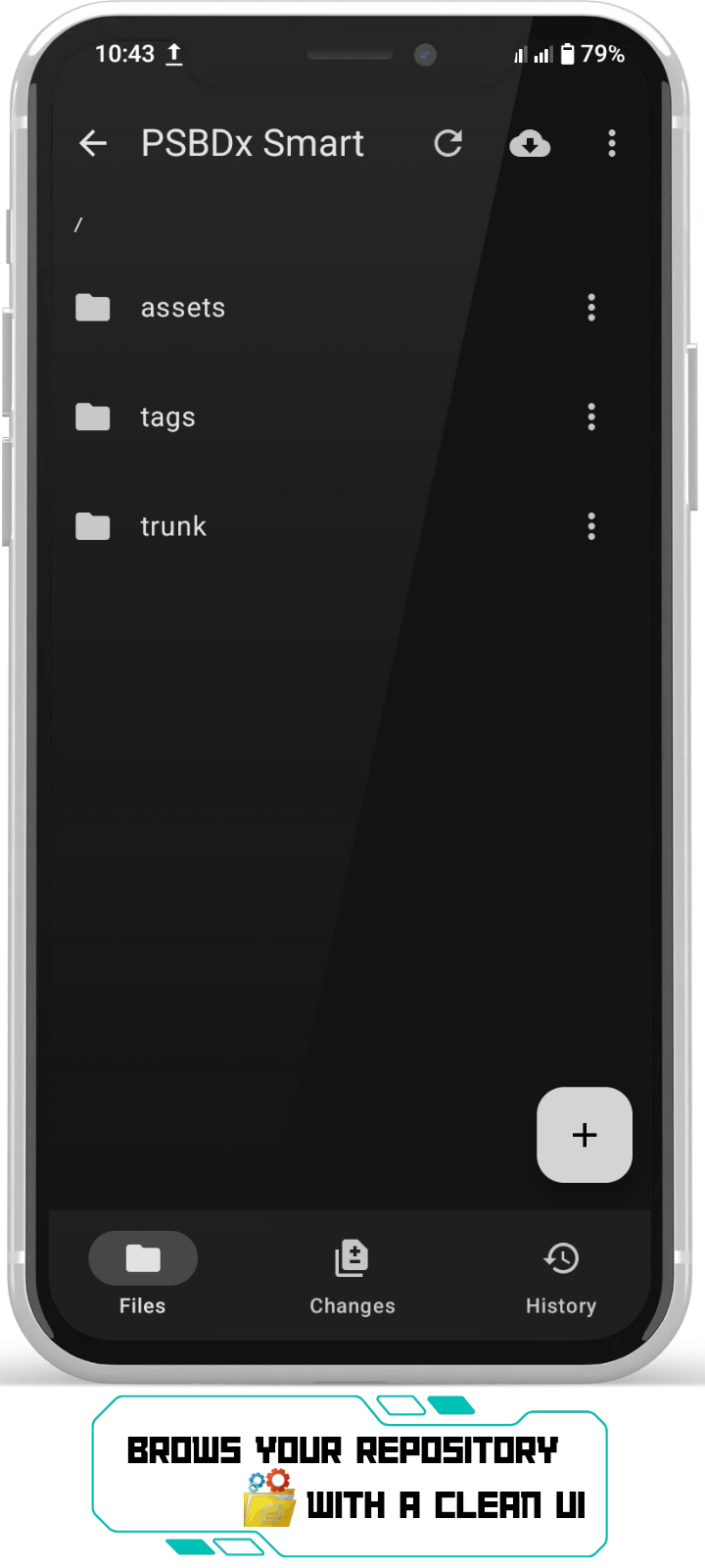 Screenshot of PSBDx SVN
