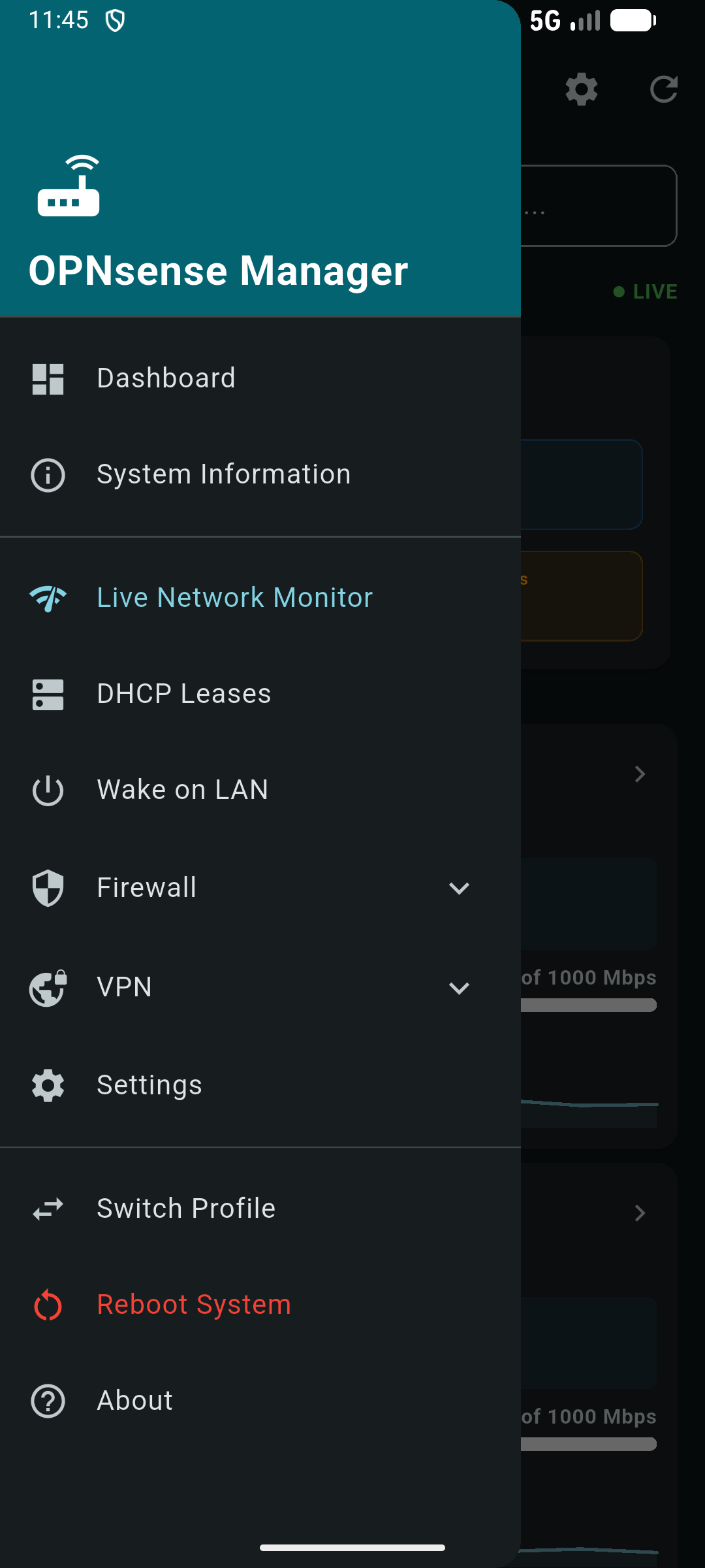 Screenshot of OPNsense Manager