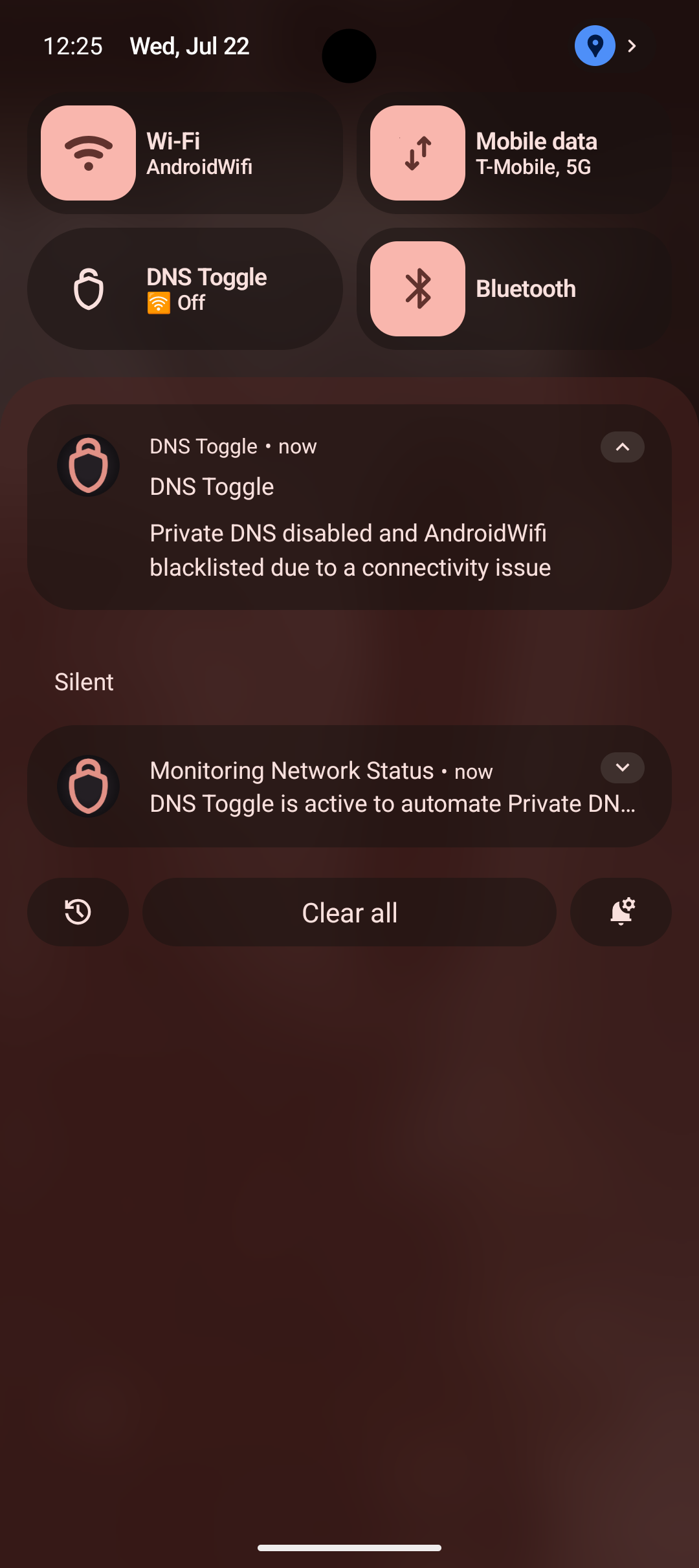 Screenshot of DNS Toggle