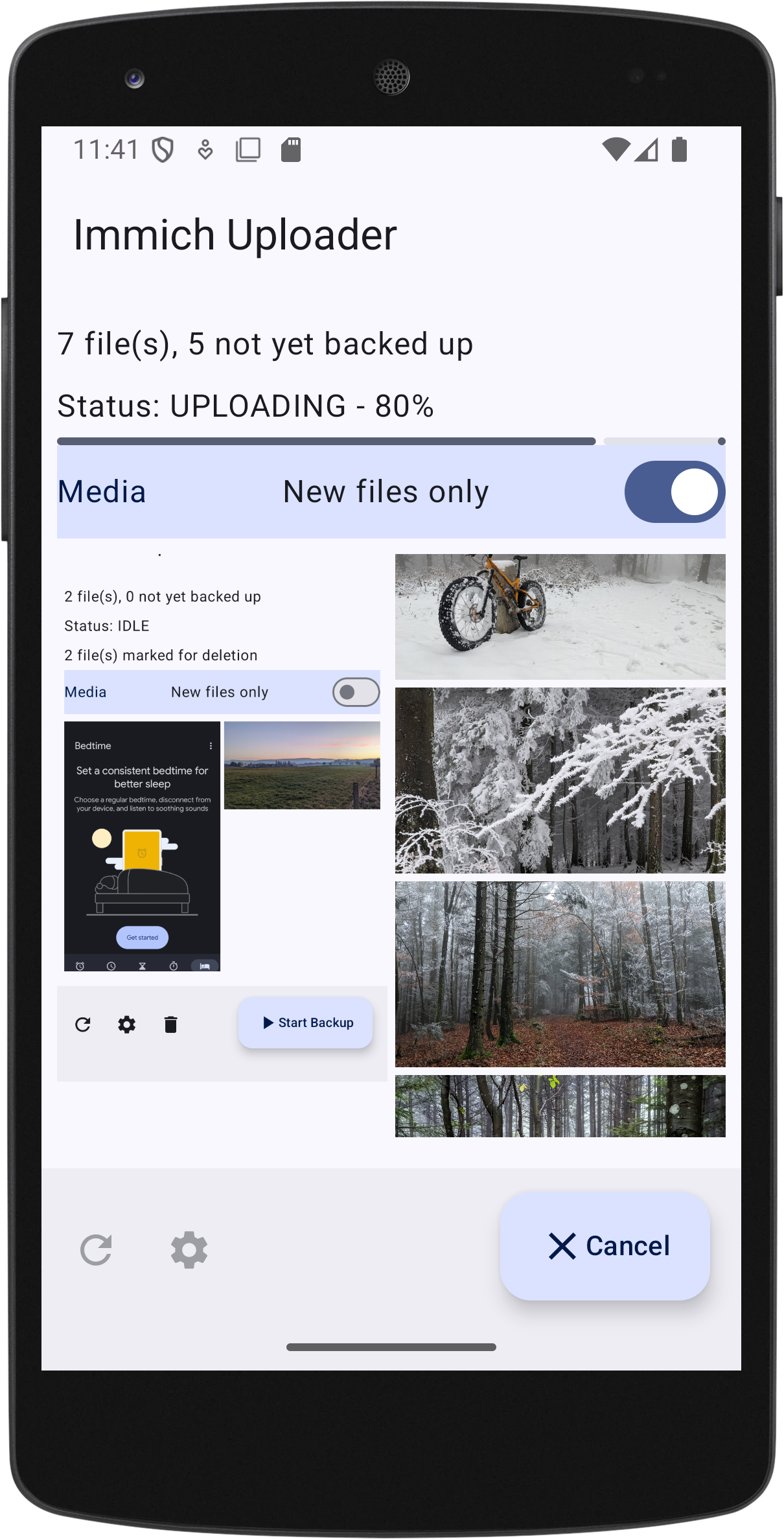 Screenshot of Immich Uploader