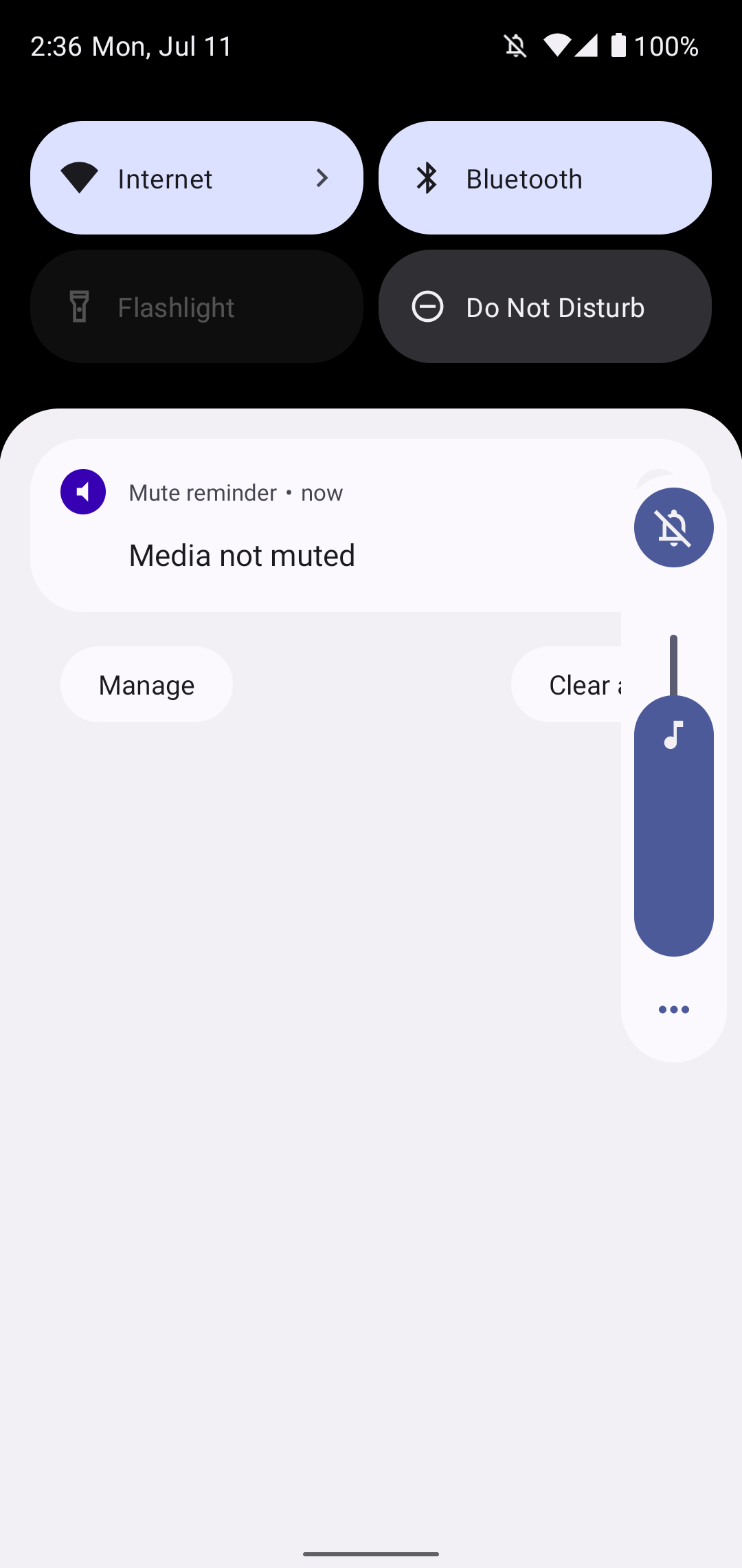 Screenshot of Mute reminder