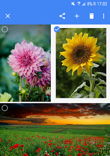 Screenshot of Secure photo viewer