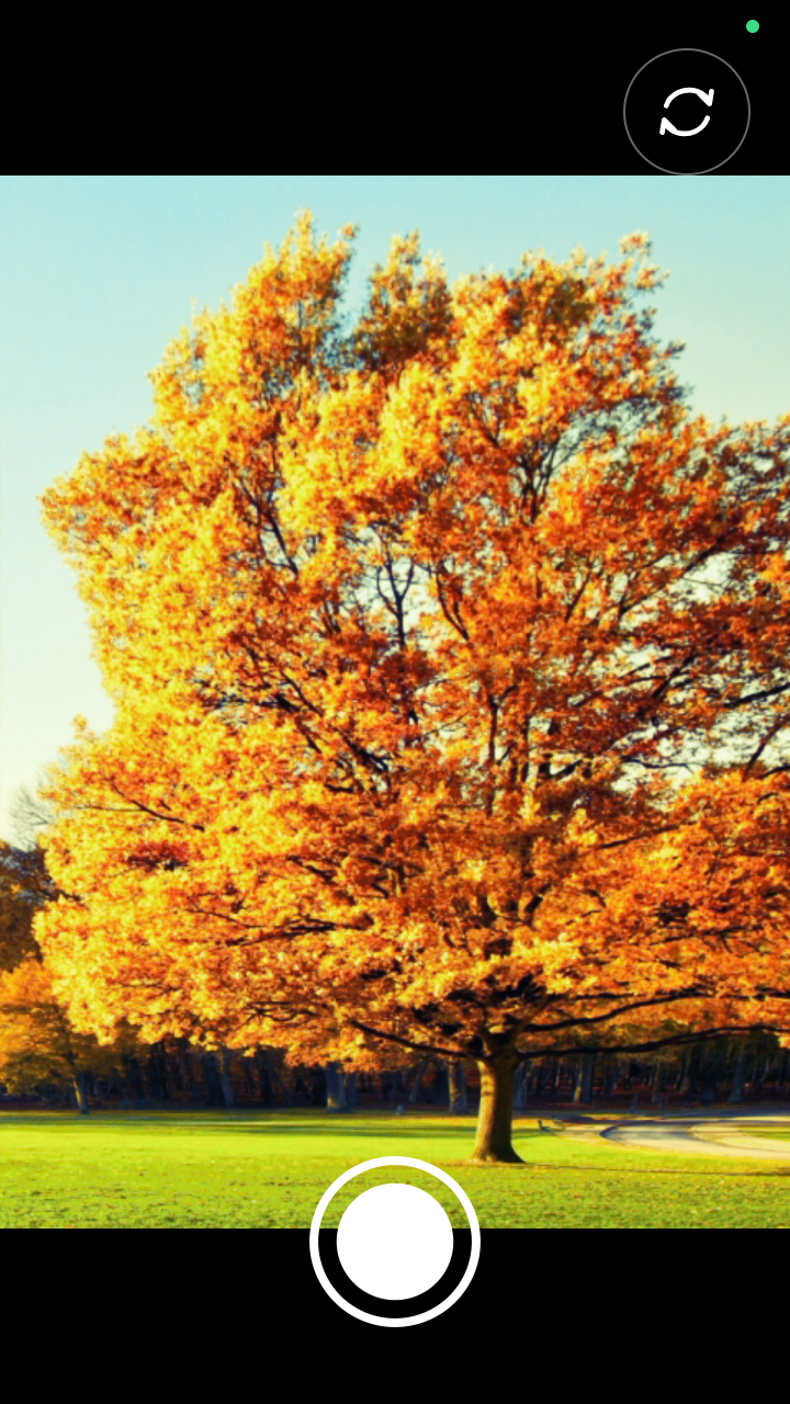 Screenshot of Lomo Camera