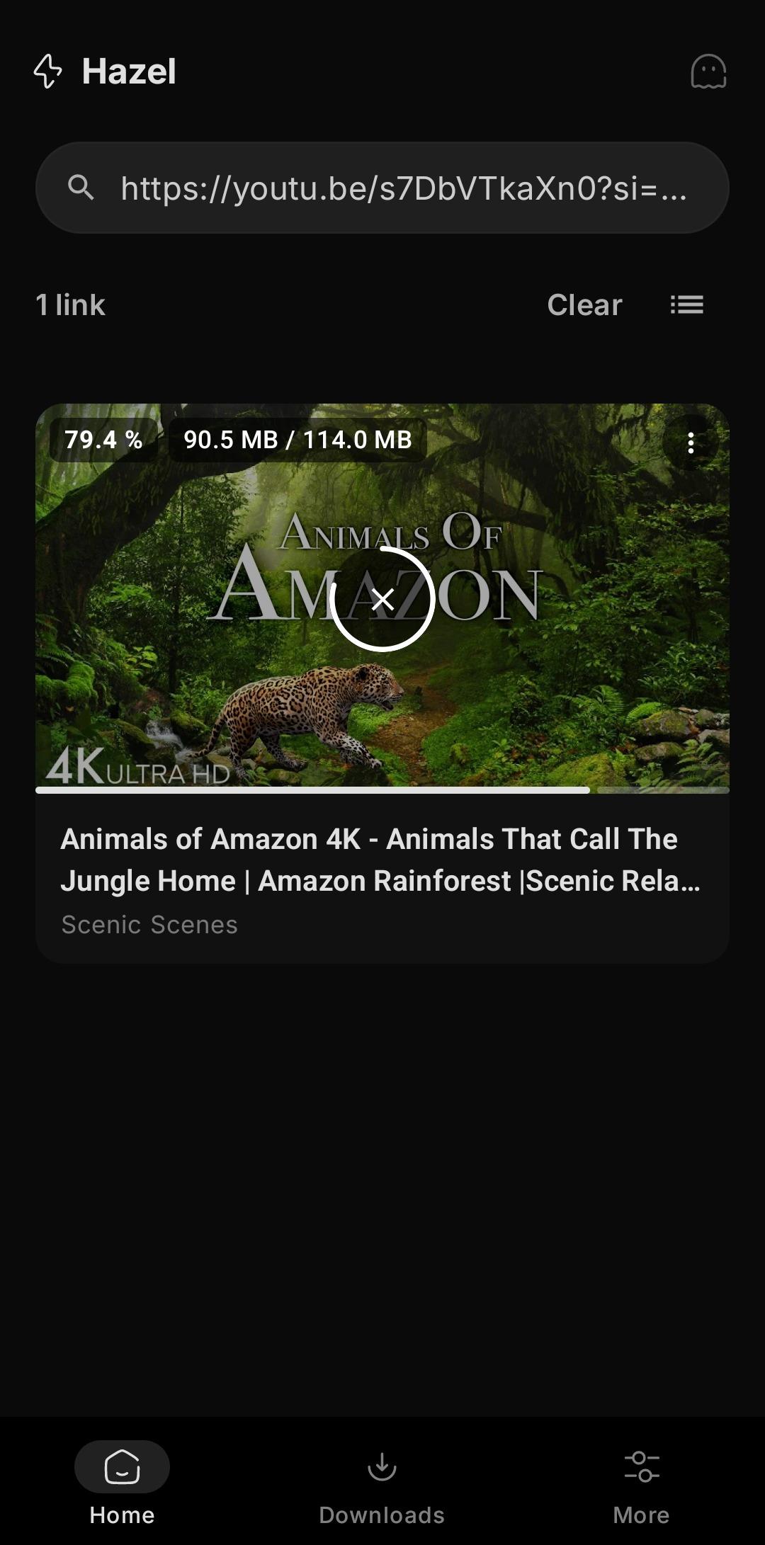 Screenshot of Hazel