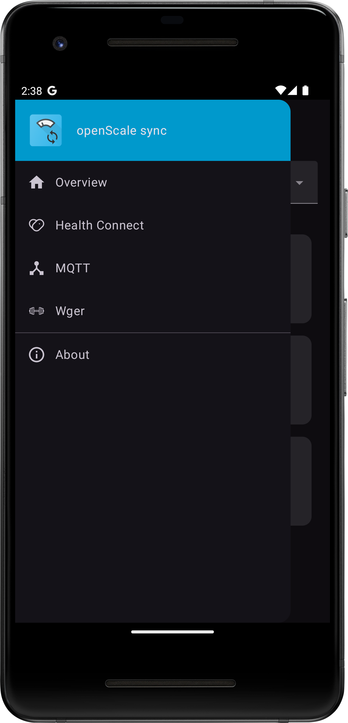 Screenshot of openScale sync