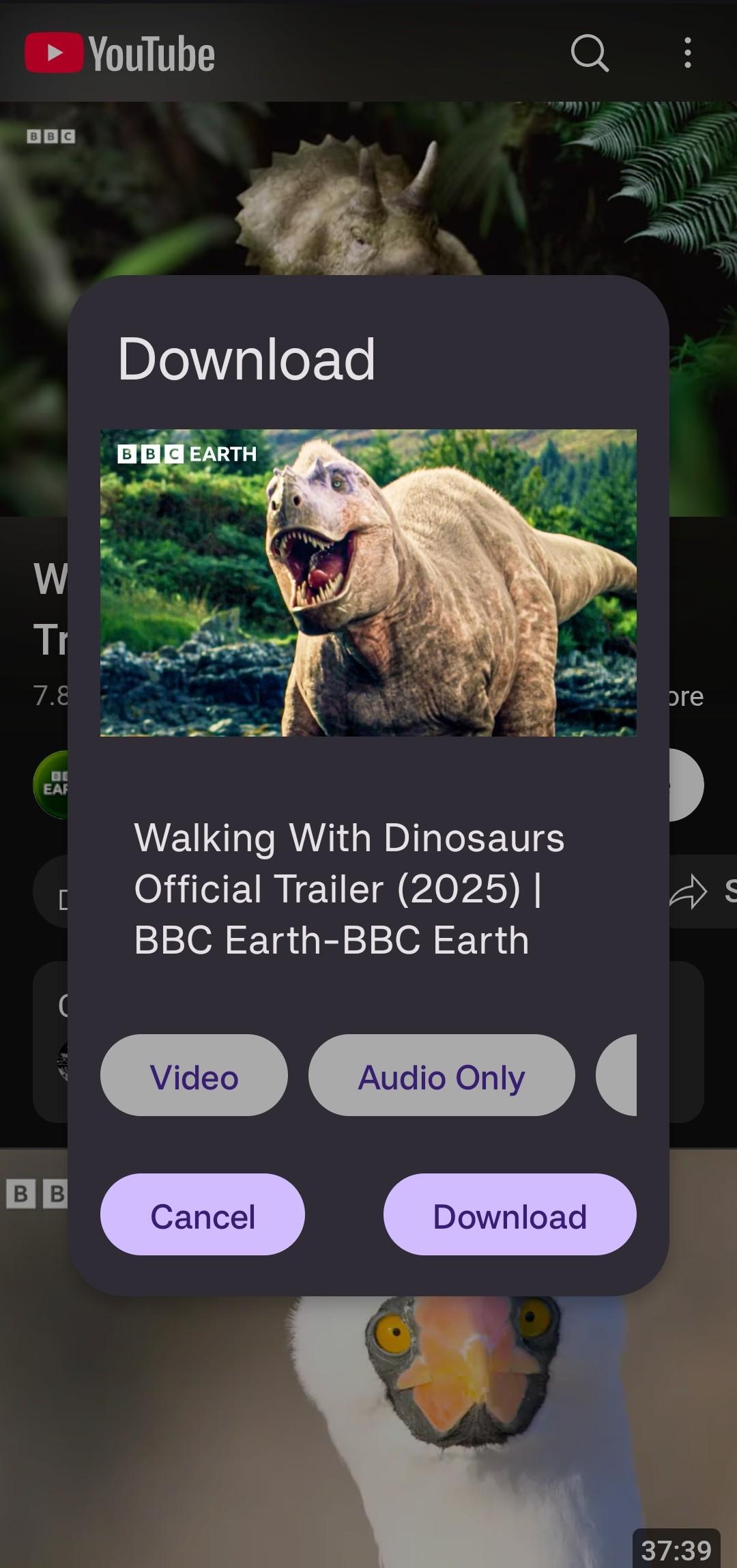 Screenshot of litube