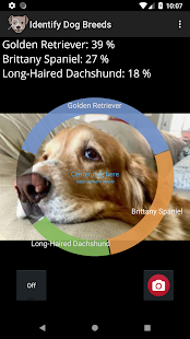 Screenshot of Identify Dog Breeds
