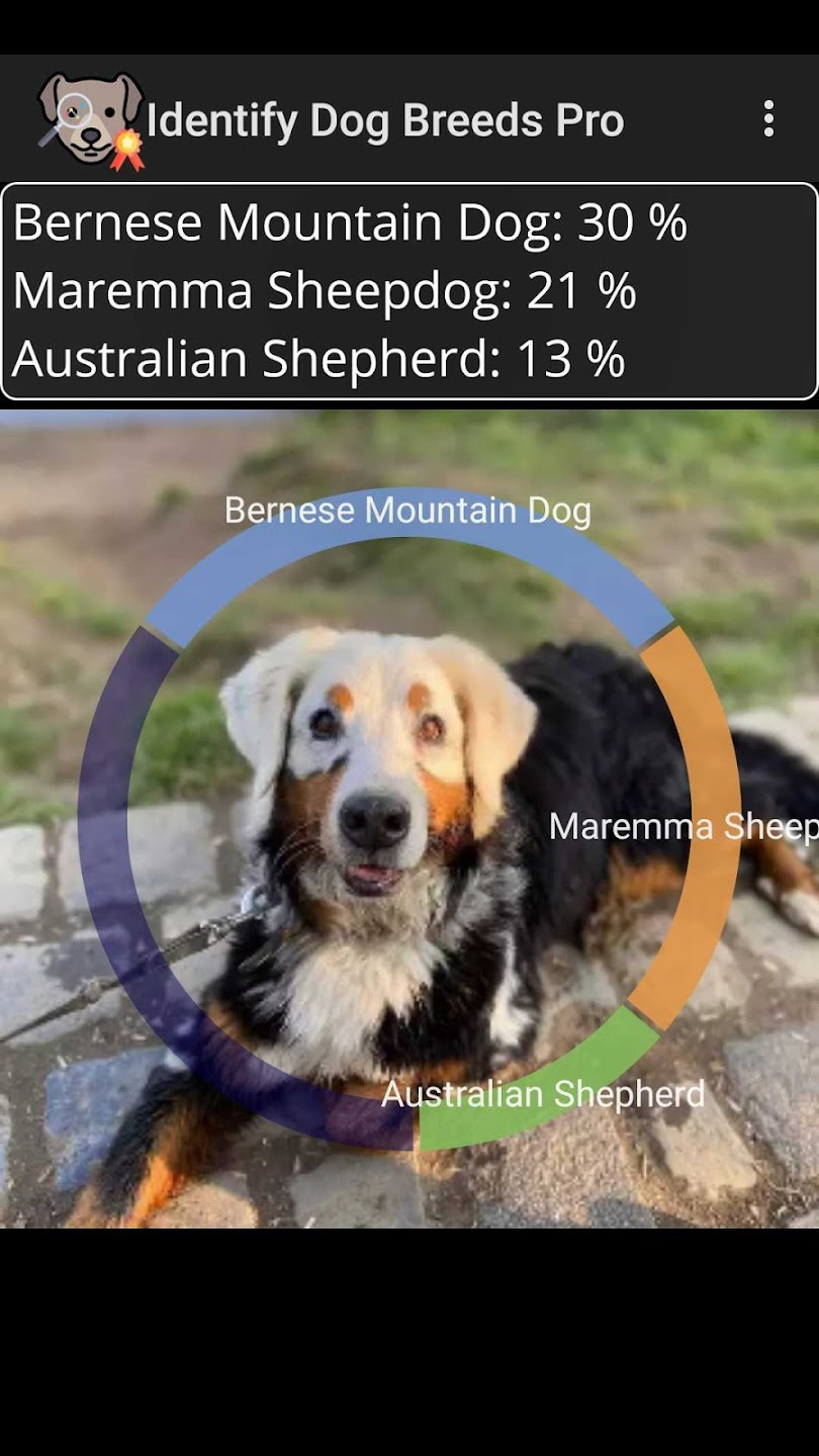 Screenshot of Identify Dog Breeds Pro
