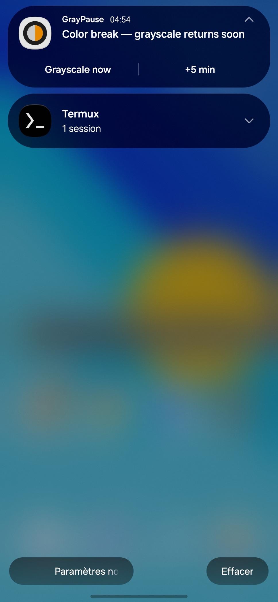 Screenshot of GrayPause