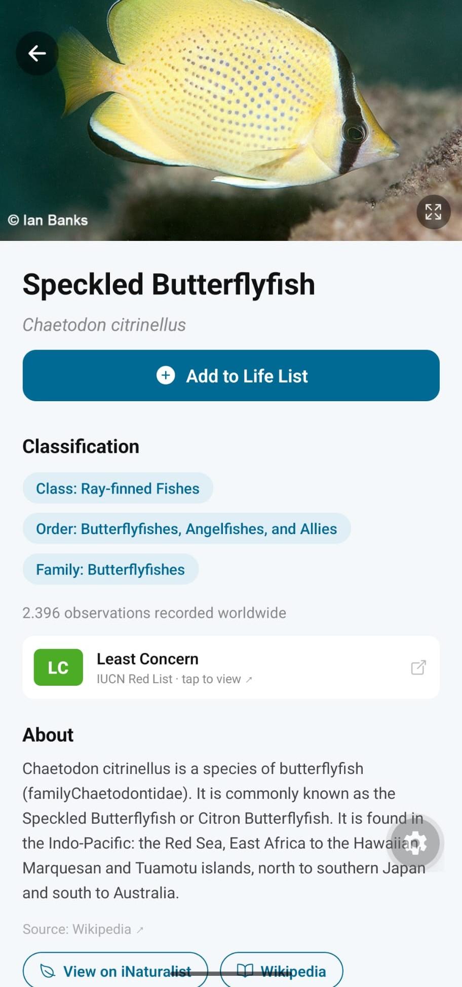 Screenshot of Marlin