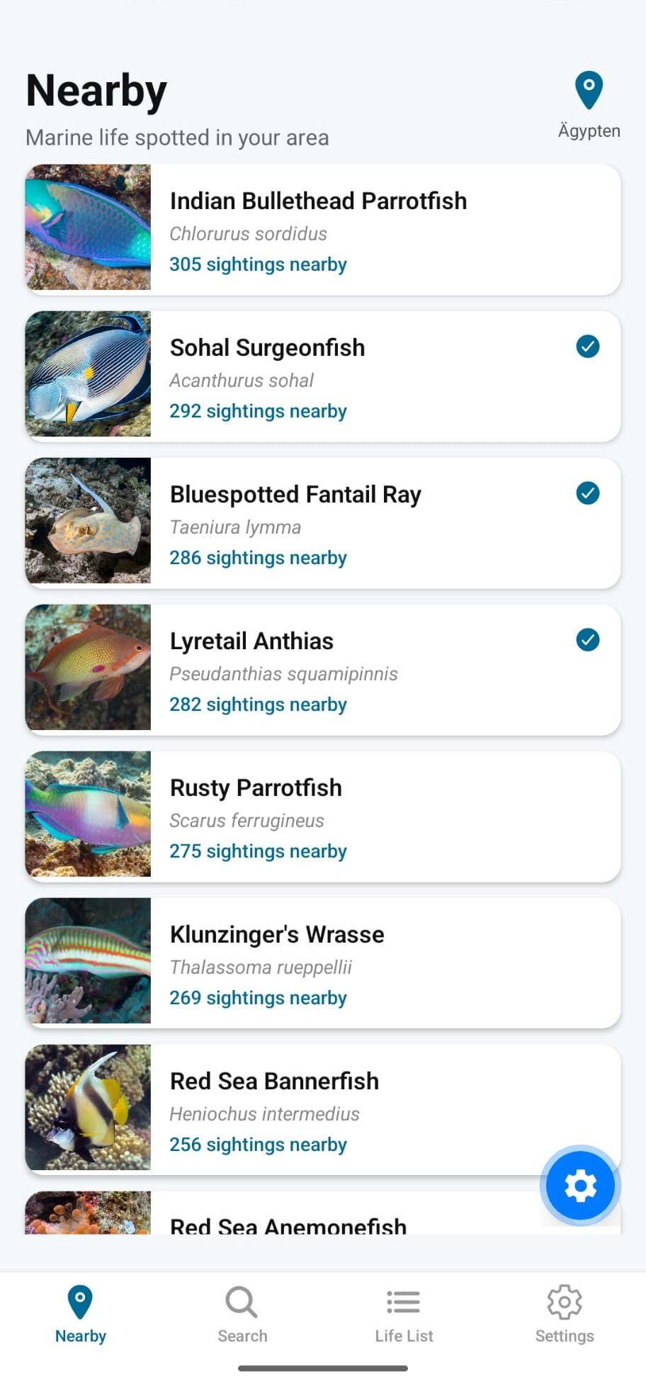 Screenshot of Marlin