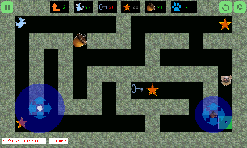 Screenshot of The Squirrel's Maze 2D