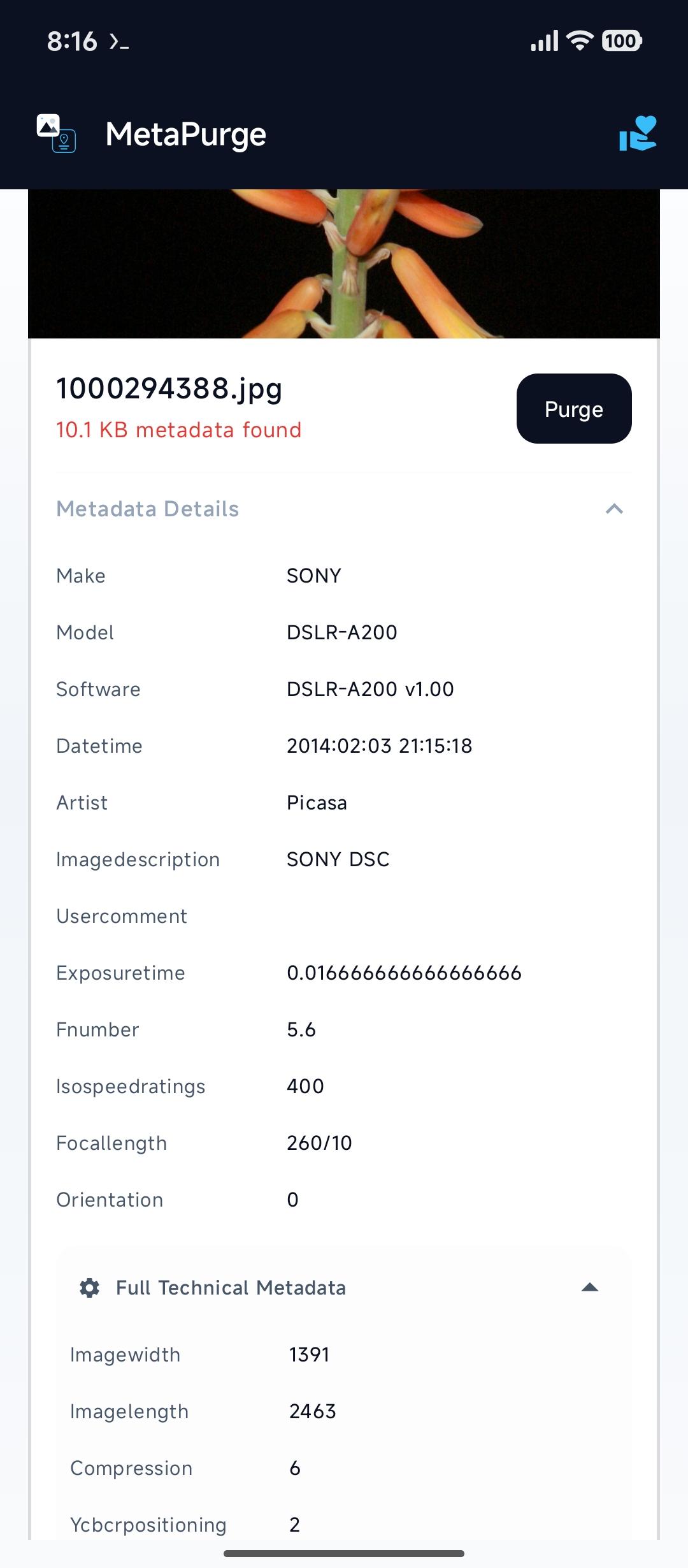 Screenshot of MetaPurge