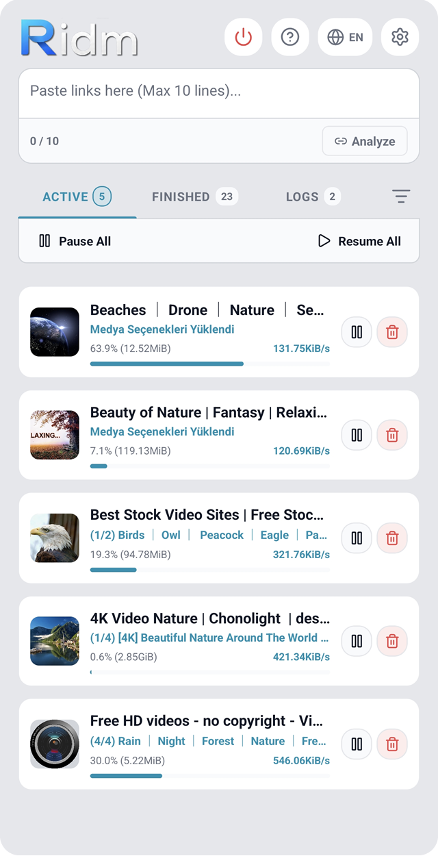 Screenshot of Ridm