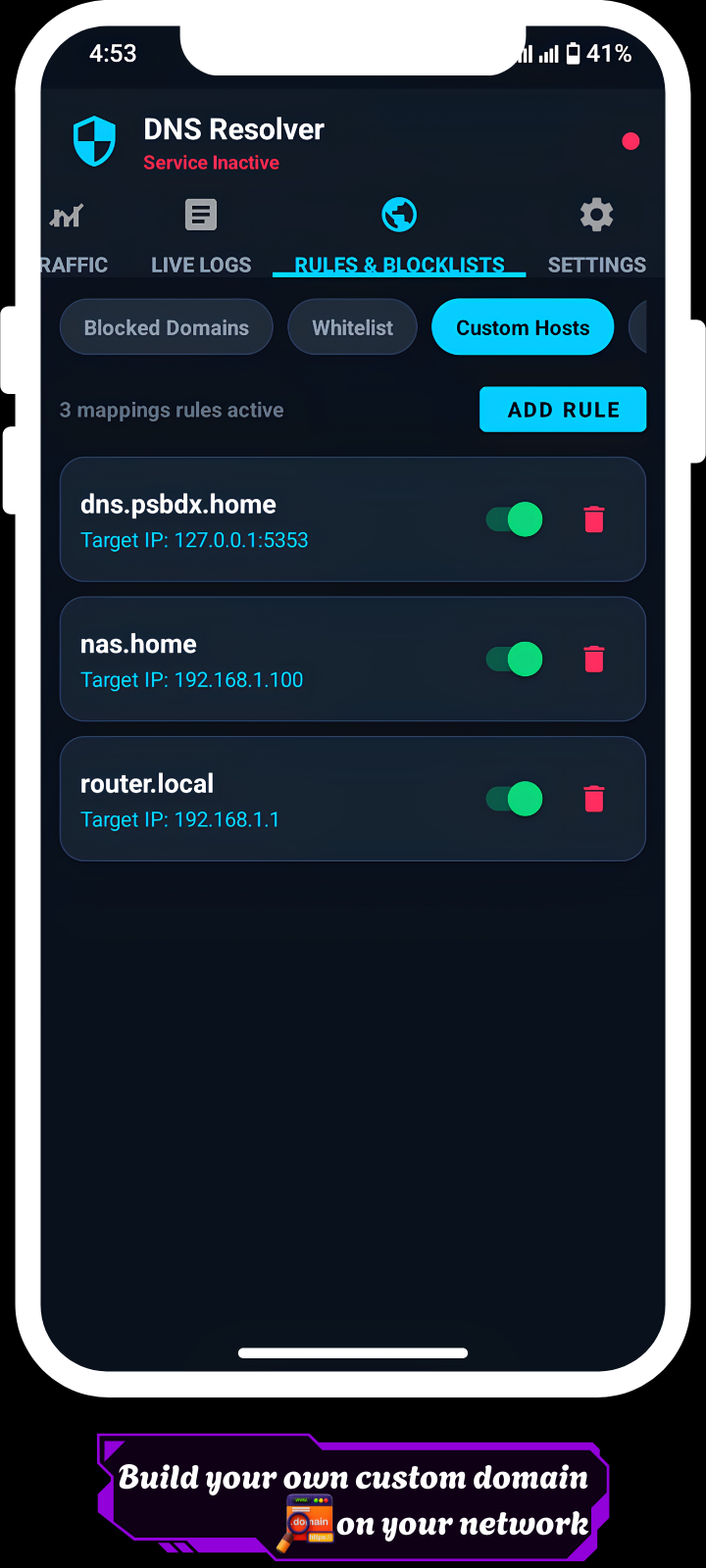Screenshot of DNS Resolver