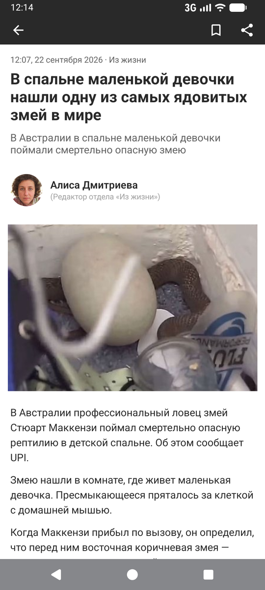 Screenshot of Lenta Reader