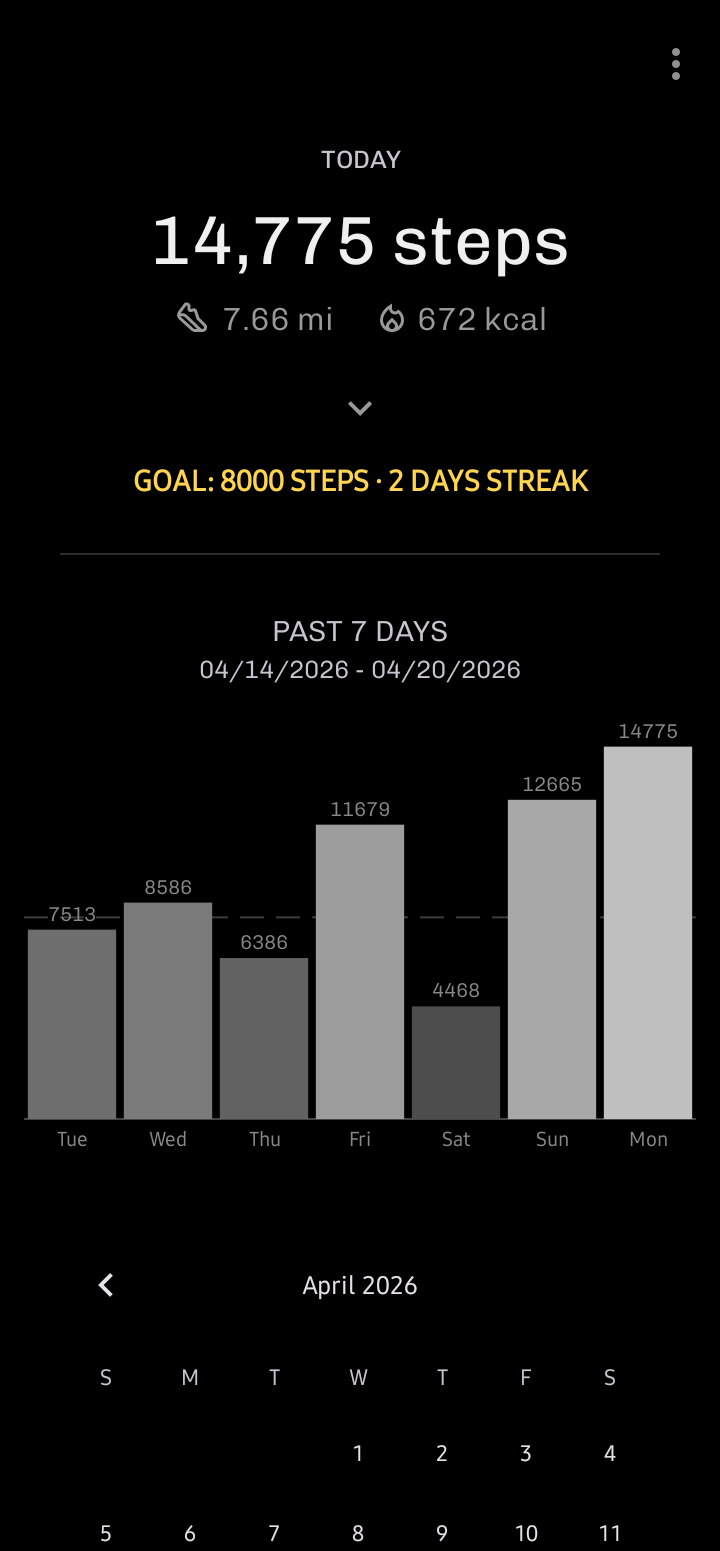 Screenshot of Stepsy: Step Counter