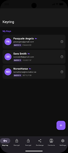 Screenshot of PGPony
