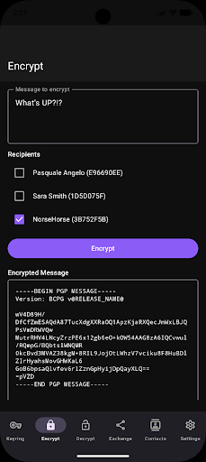 Screenshot of PGPony