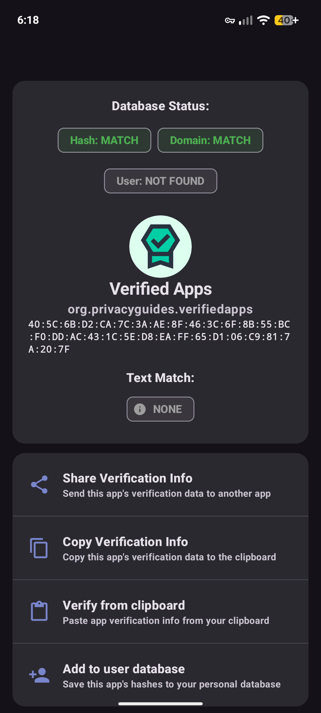 Screenshot of AppVerifier BG