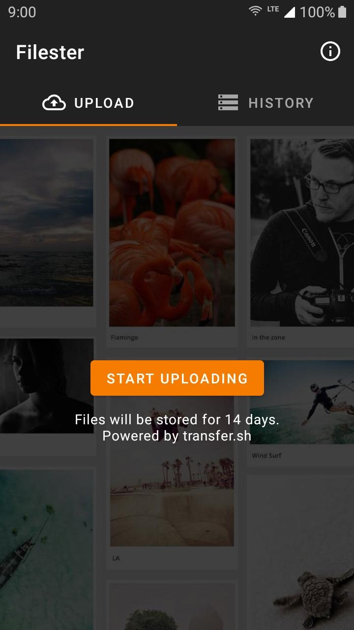 Screenshot of Filester