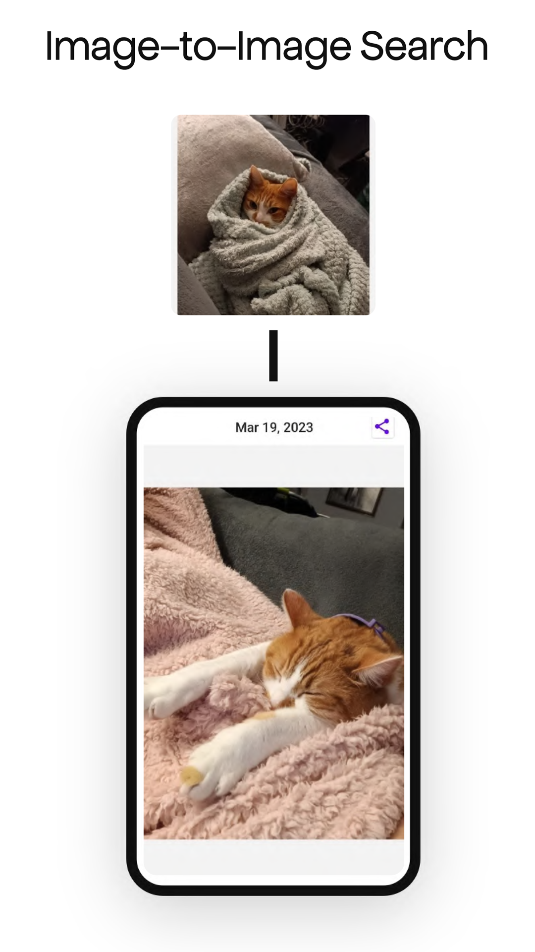 Screenshot of TIDY Text-to-Image Discovery