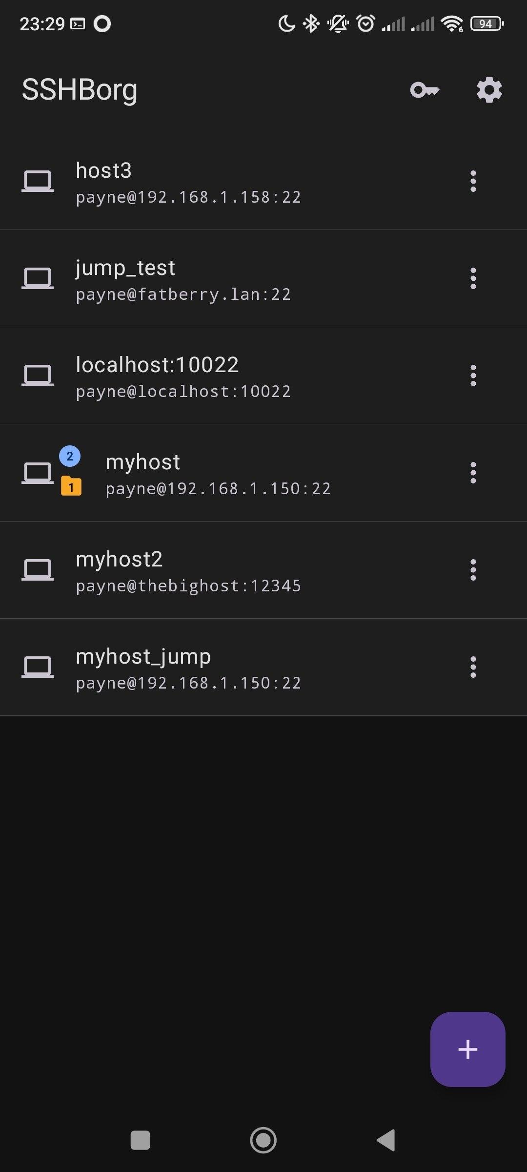 Screenshot of SSHBorg