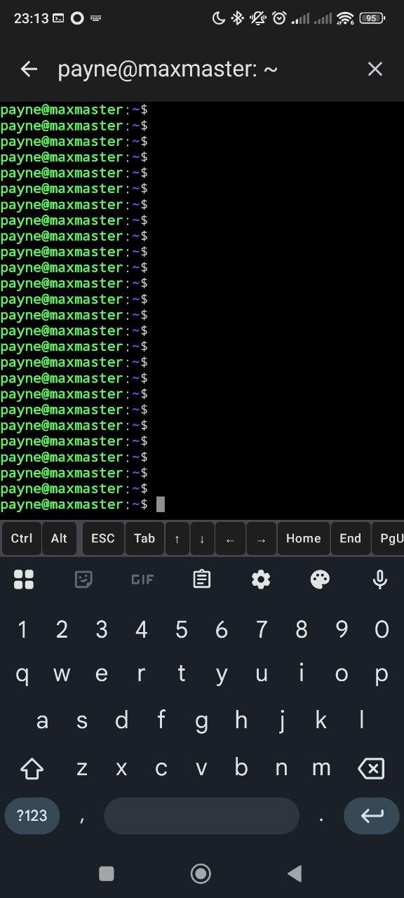 Screenshot of SSHBorg