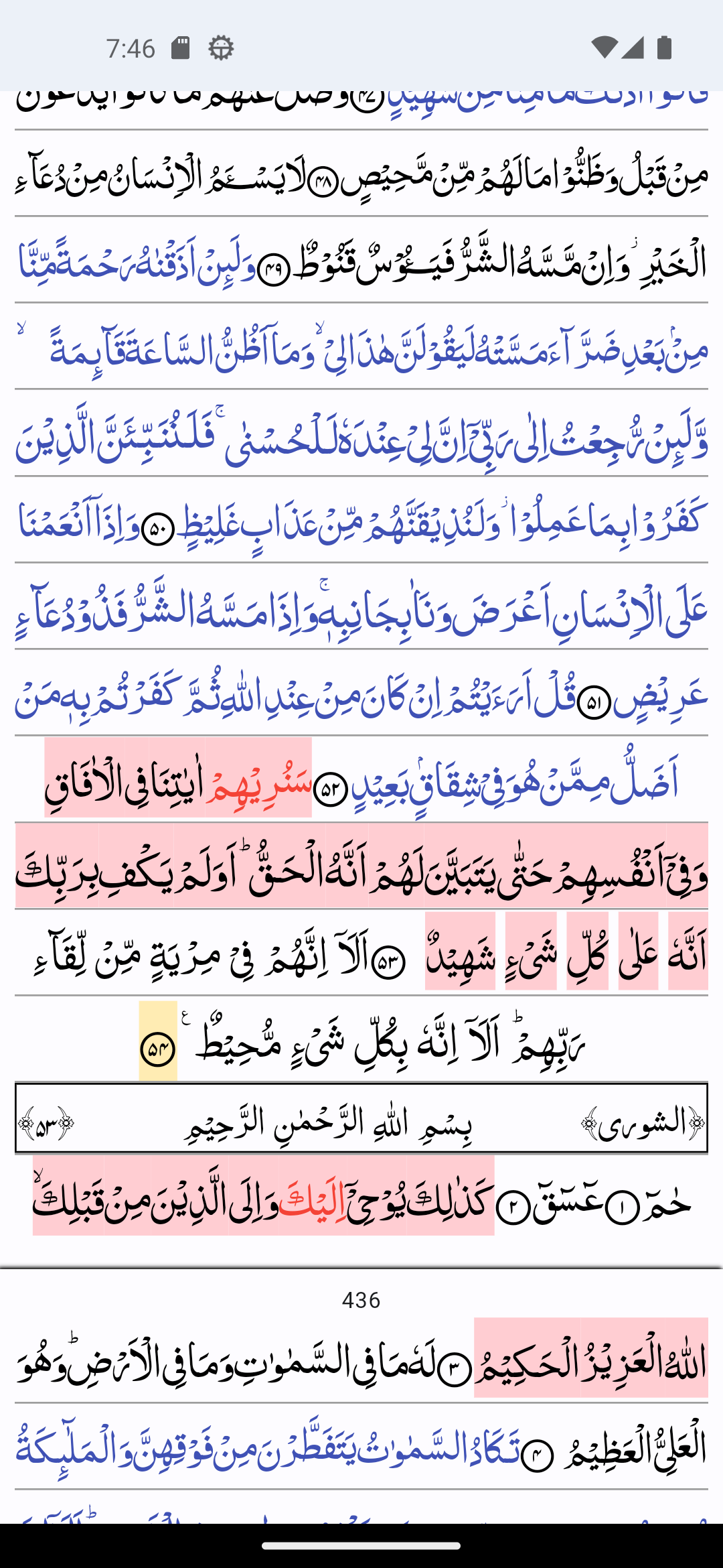 Screenshot of Quran Revision Companion