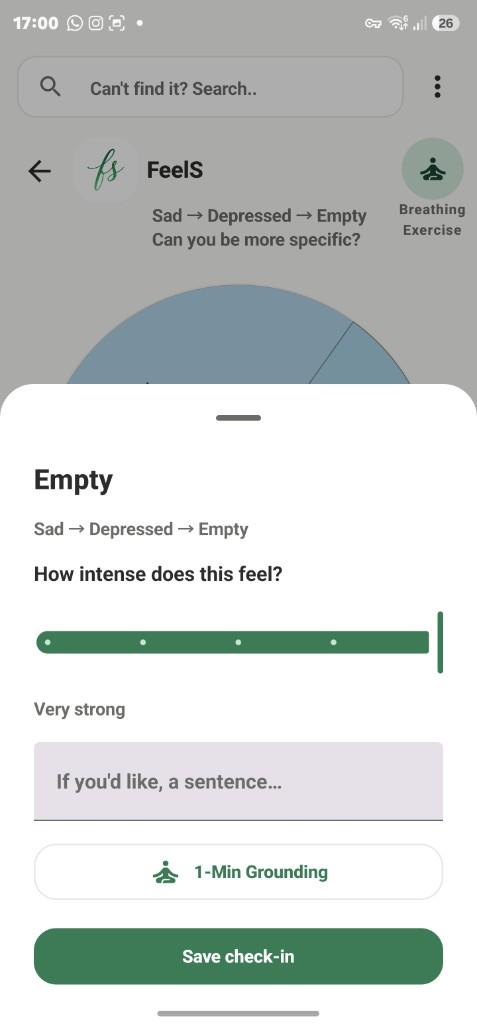 Screenshot of FeelS