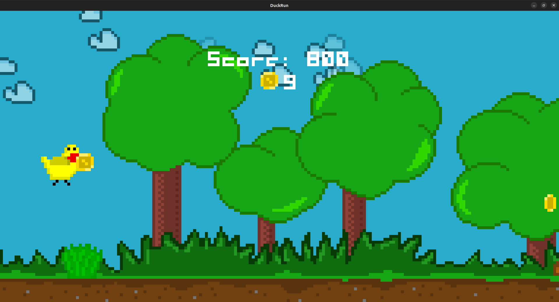 Screenshot of DuckRun