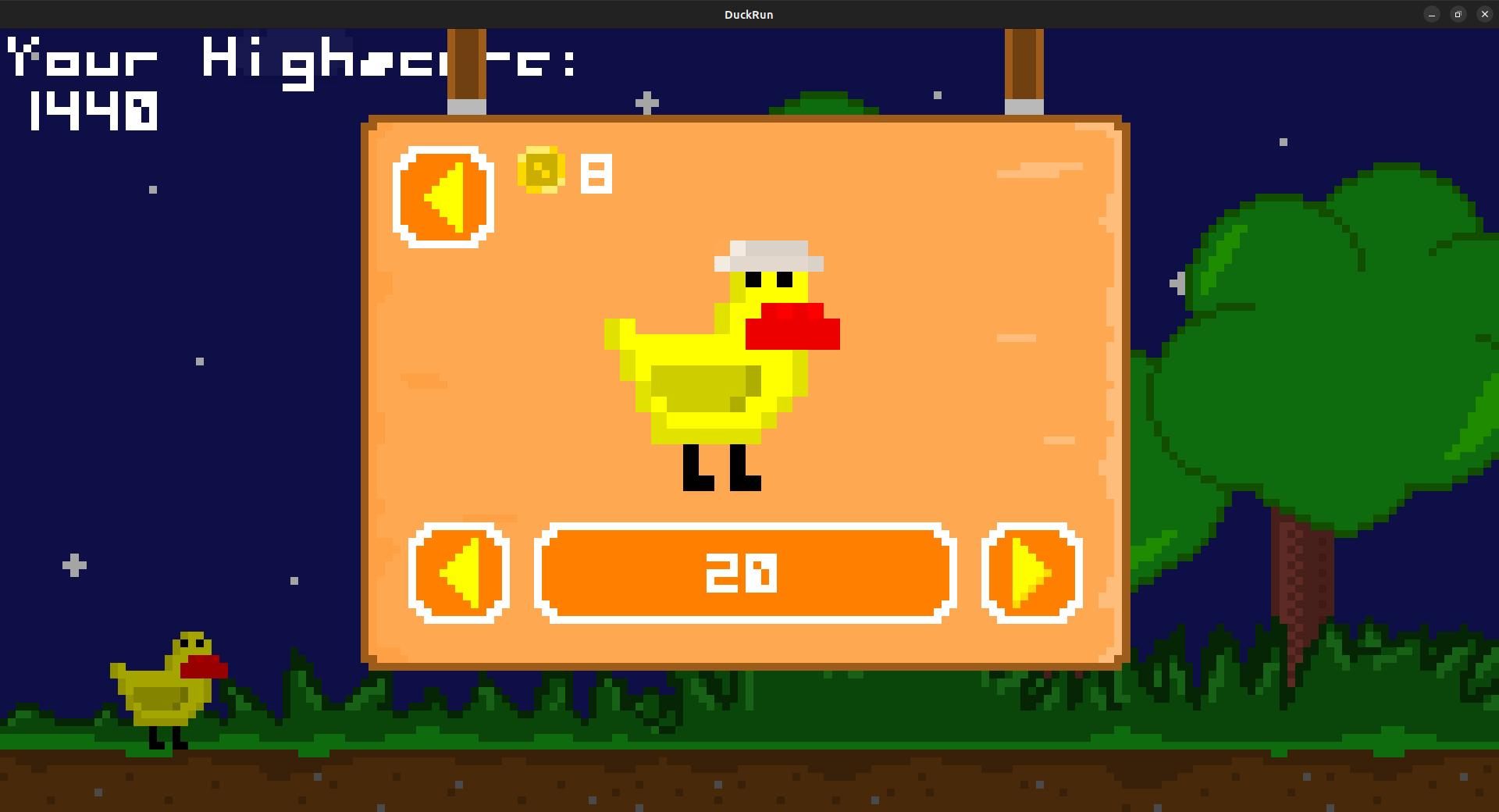 Screenshot of DuckRun