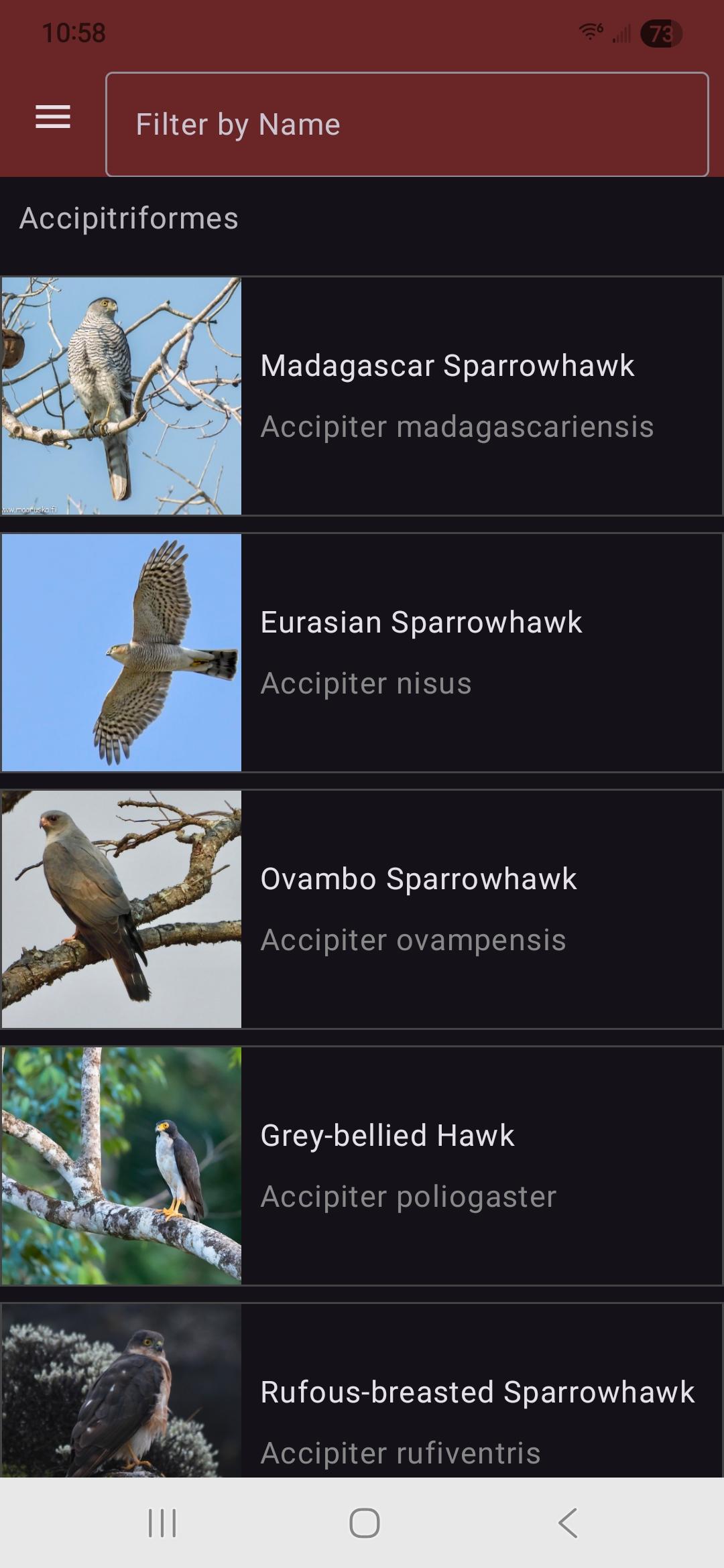 Screenshot of Birdipedia