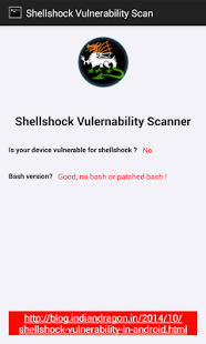 Screenshot of Shellshock Vulnerability Scan