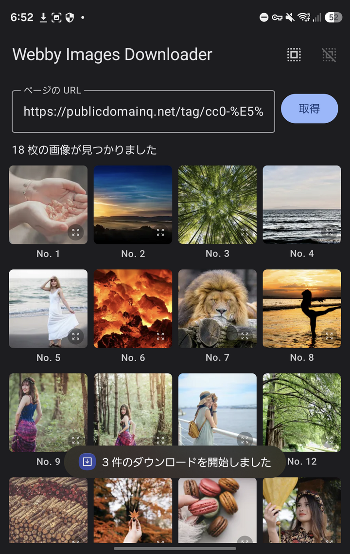 Screenshot of Webby Images Downloader