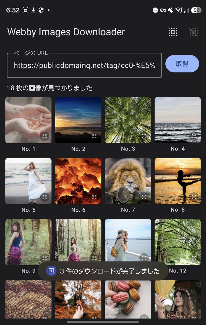 Screenshot of Webby Images Downloader